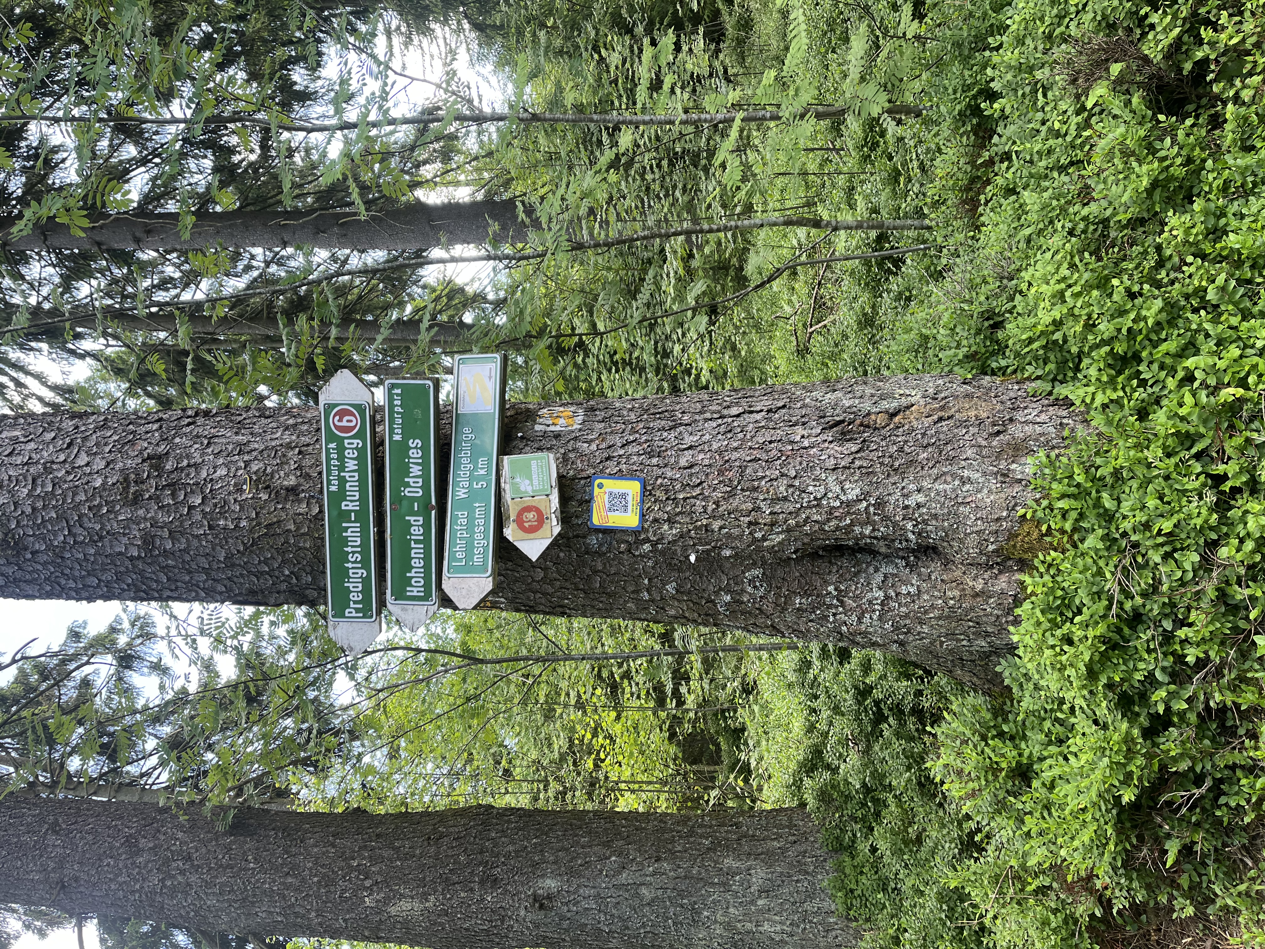 Wandern und Natur in Sankt Englmar